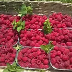 Agriturismo Serec Farmház Angolo Terme