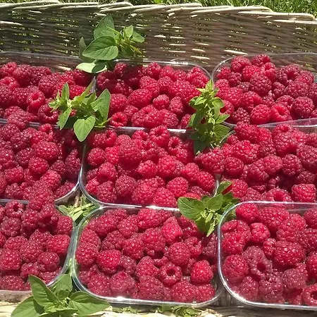 Agriturismo Serec Farm stay Angolo Terme
